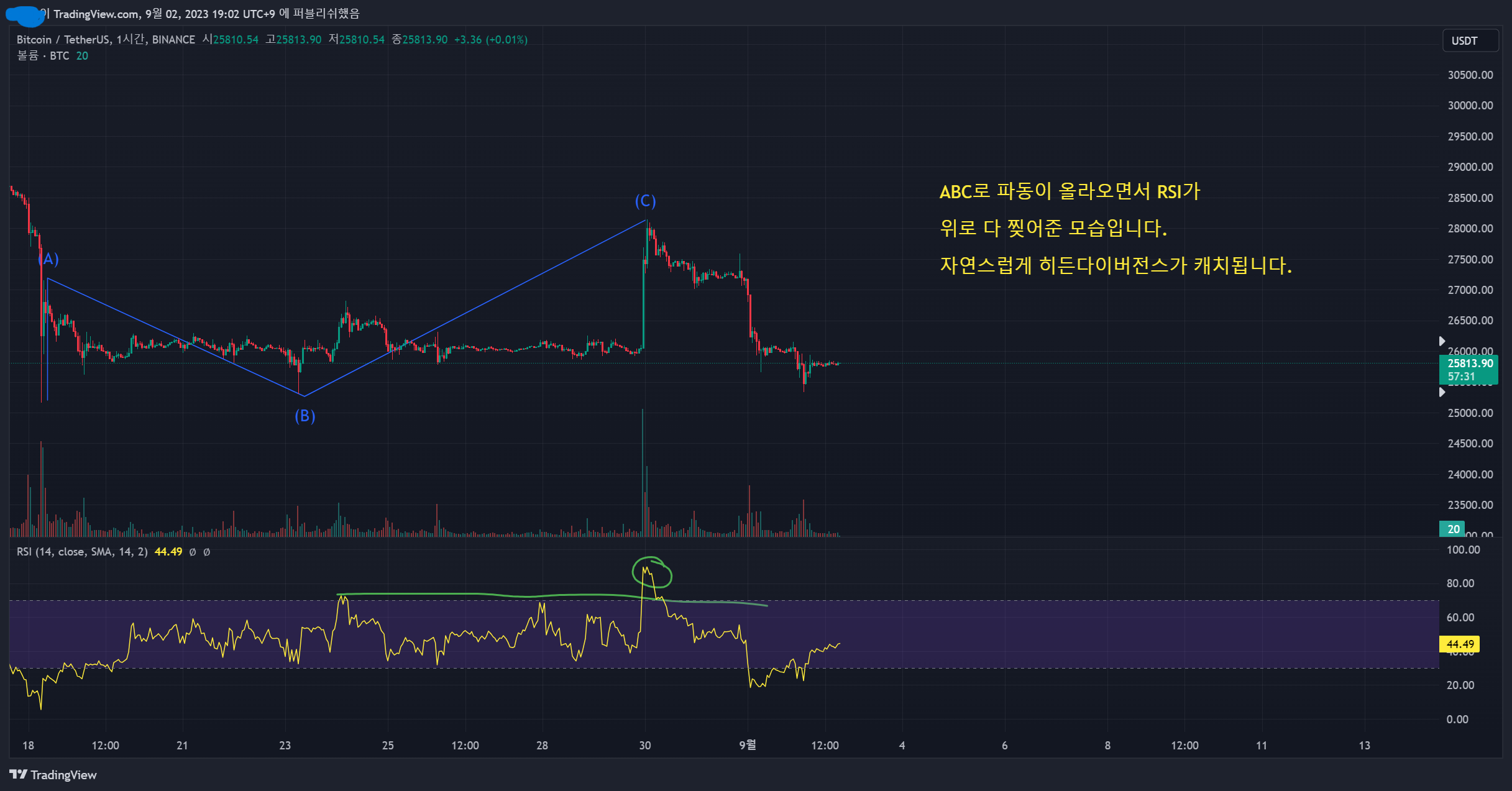 비트코인 하락 전망