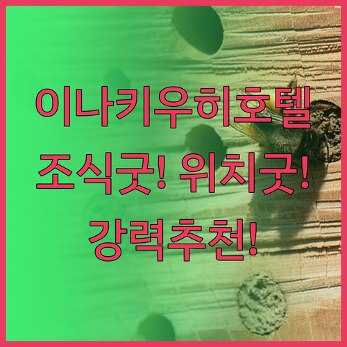 이나키 우히 호텔.. 훌륭한 조식과 