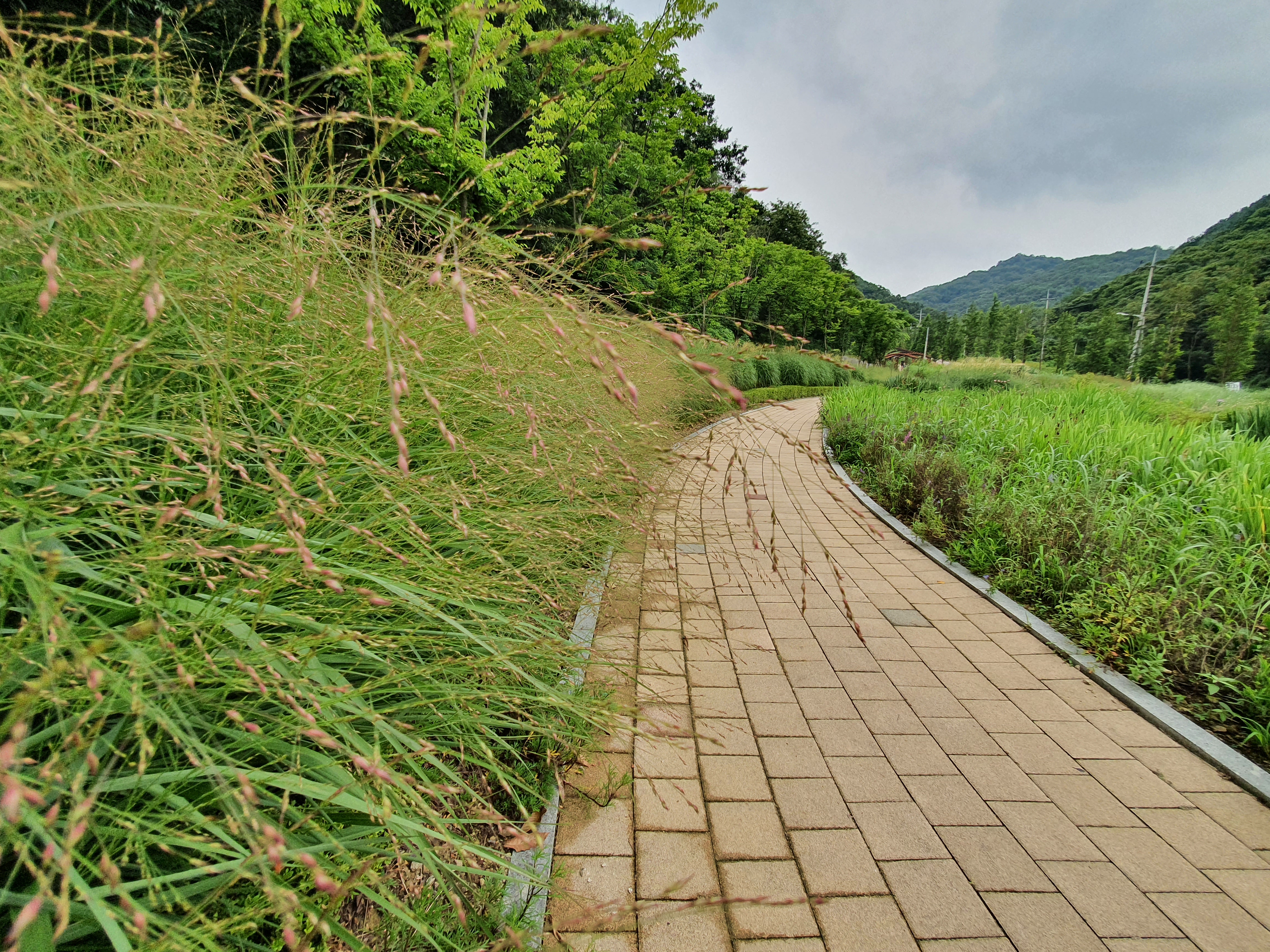 파주 율곡 수목원