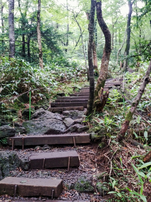 한국 명산 제주 한라산 어리목 윗세오름 등산 mountain hiking