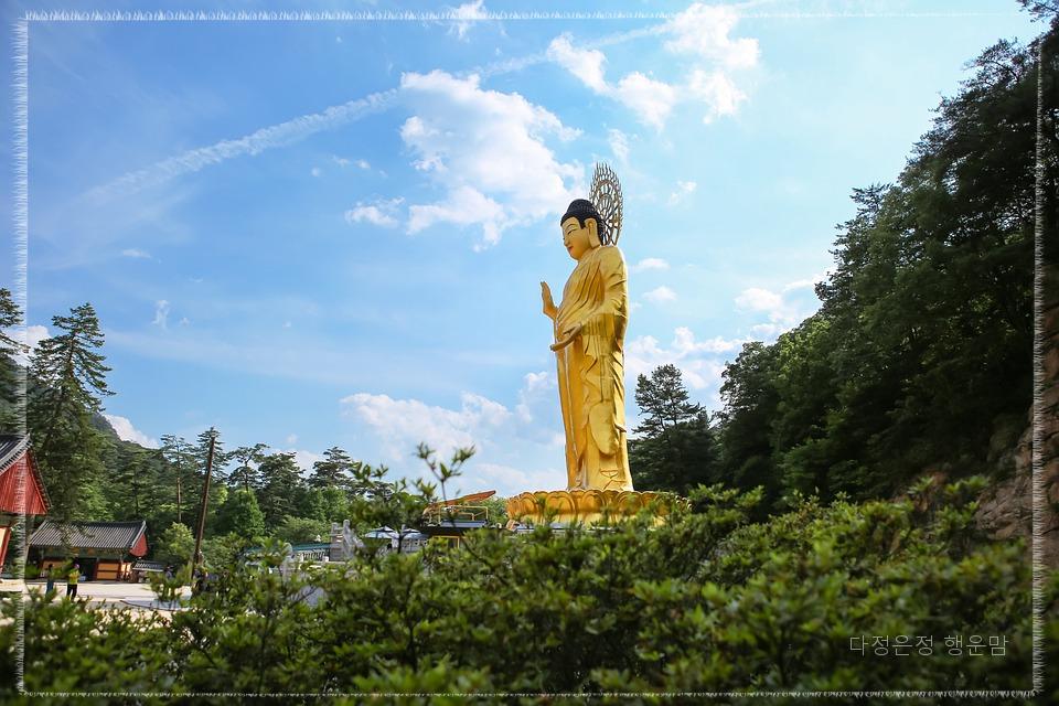 속리산토종닭 이미지