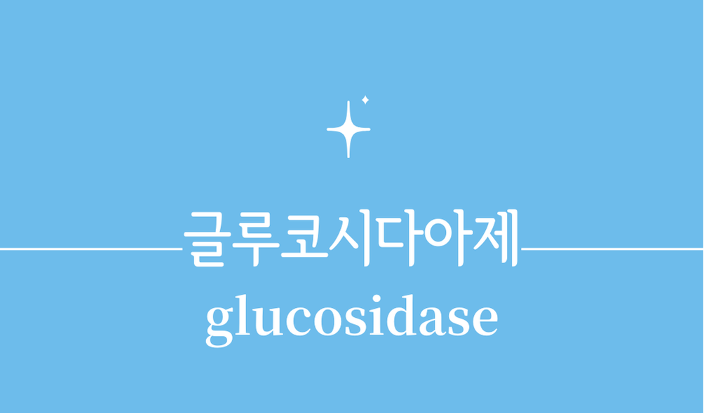 '글루코시다아제(glucosidase)'