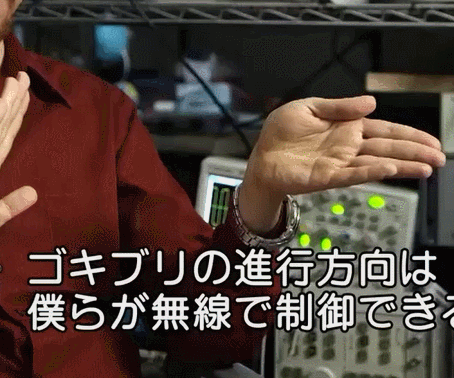  열원 탐색하는 "사이보그 바퀴벌레"...재난 구조에 도움 VIDEO: 災害時にゴキブリが人命救助！？昆虫の高い走破能力を利用した熱源探索システムの研究が面白い