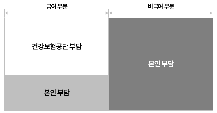 실손보험