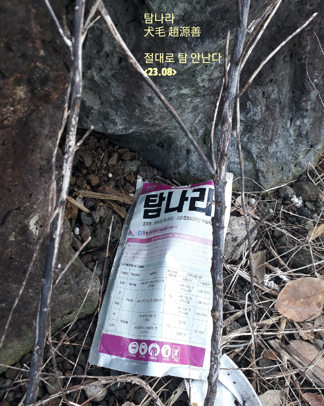 탐나라 이미지