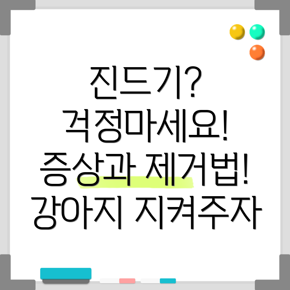 강아지 진드기
