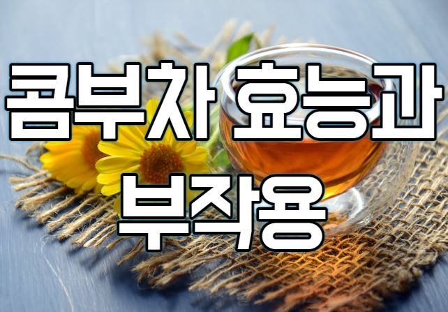  콤부차 효능과 부작용(feat.만드는방법)