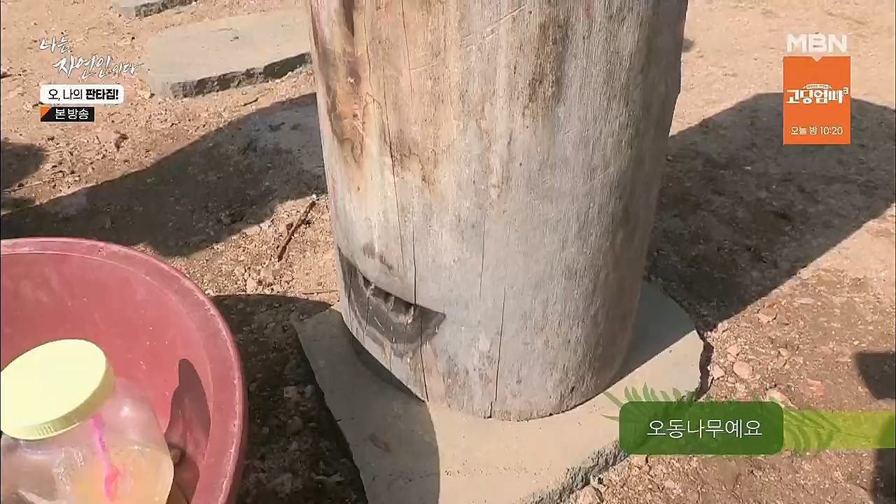 나는 자연인이다.E546.230323p.H264-F1RST.mp4_20230323_201547.694.jpg