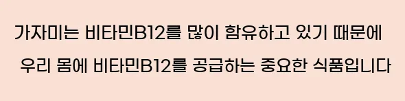  가자미는 비타민B12를 많이 함유하고 있기 때문에 우리 몸에 비타민B12를 공급하는 중요한 식품입니다