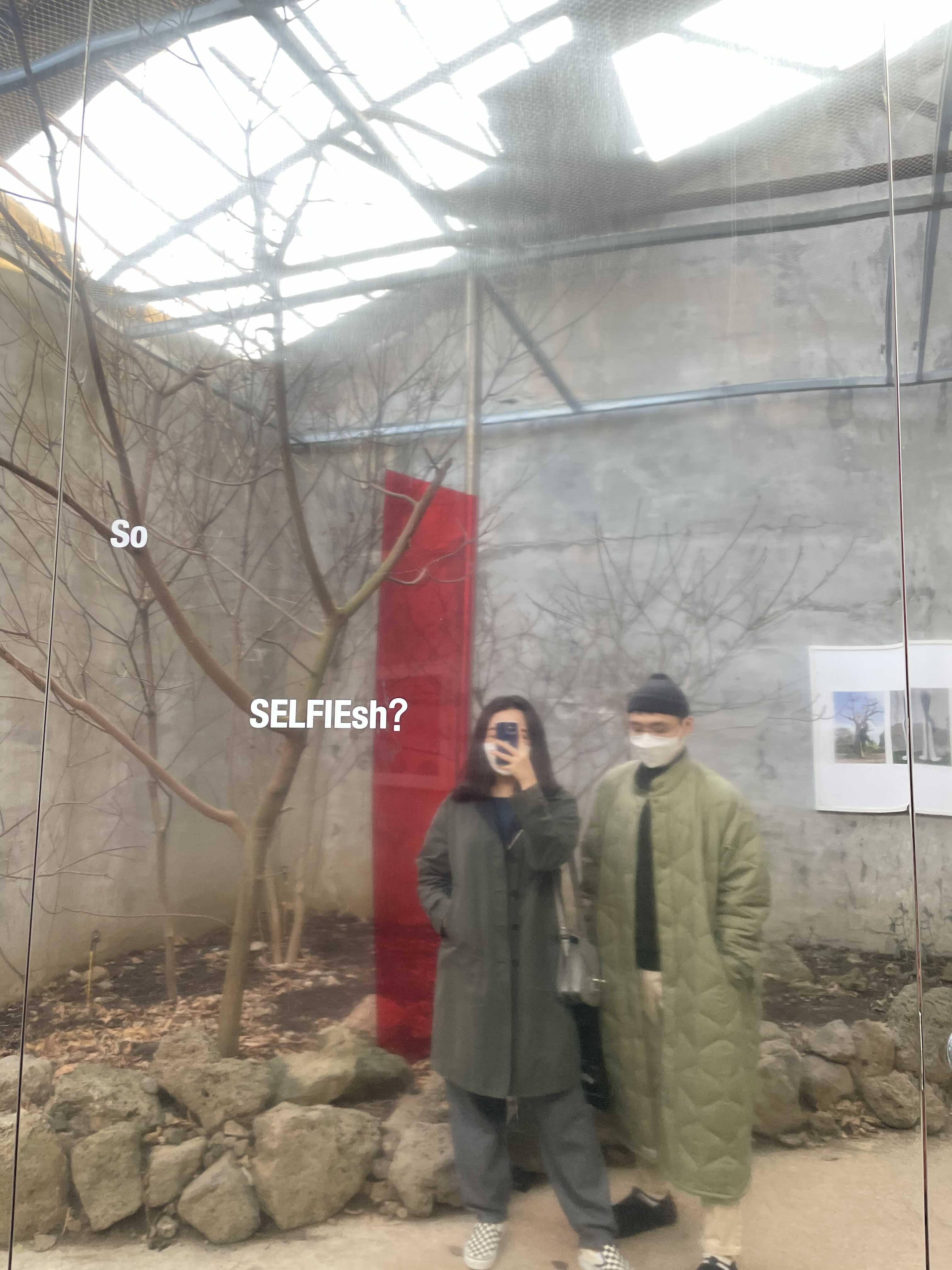  2월 일상모음 : 열심히 먹다가 갑자기 다이어트