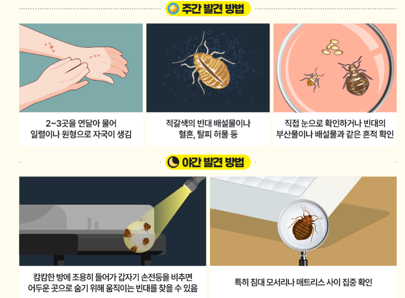 빈대발견방법