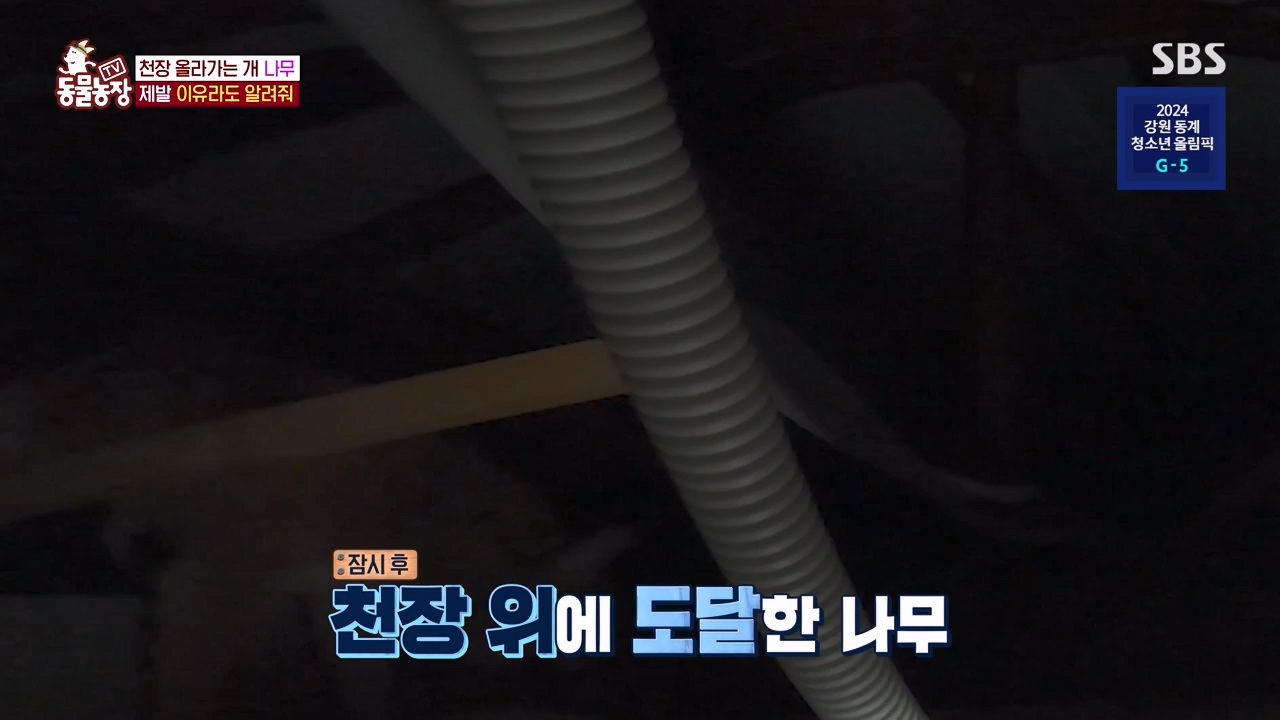 TV 동물농장.E1154.240115p-NEXT.mp4_20240114_184340.956.jpg