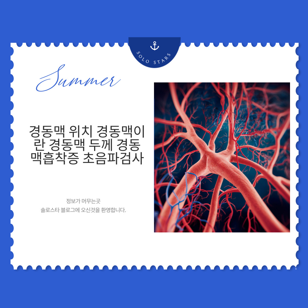 혈관 사진