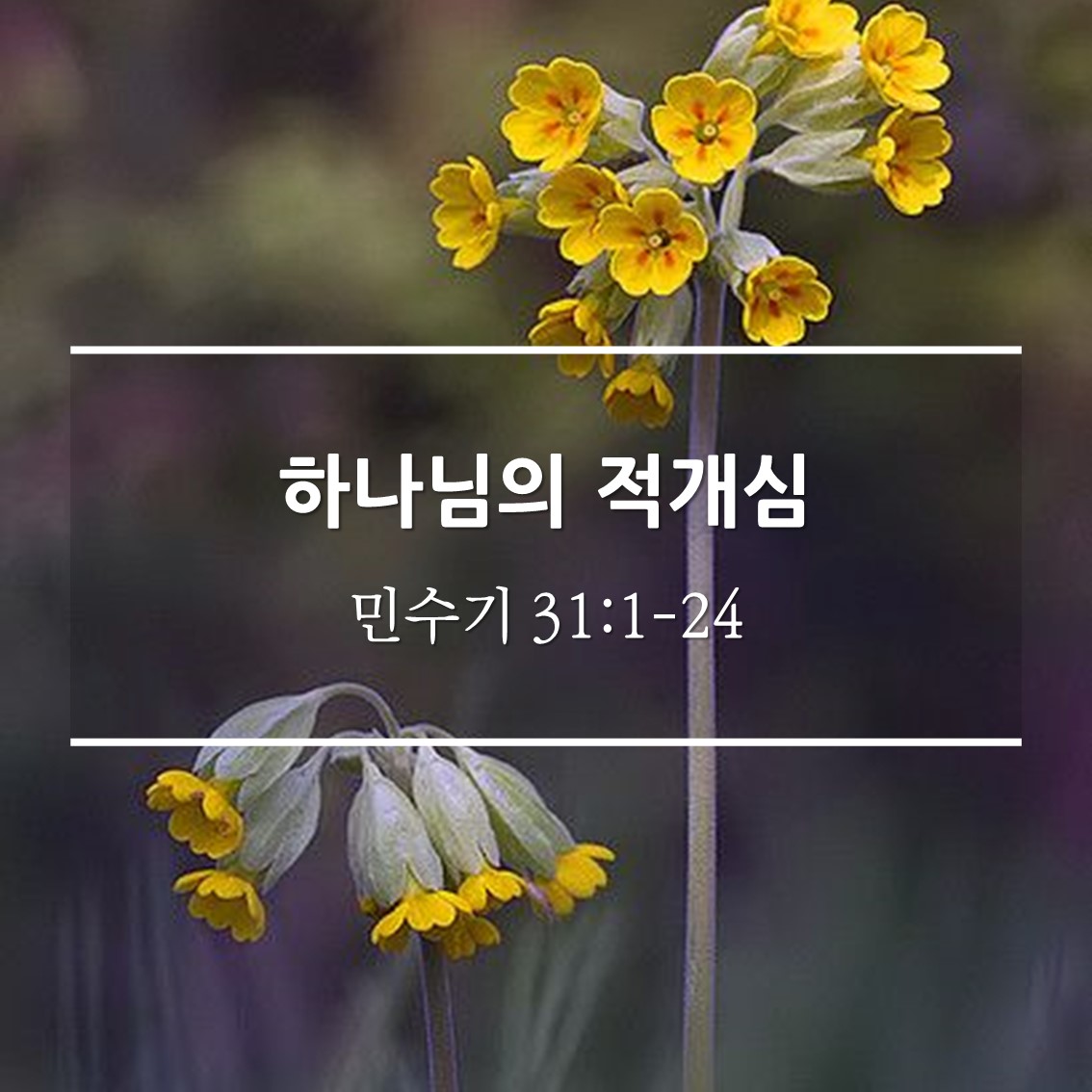  하나님의 적개심 / 민 31:1-24