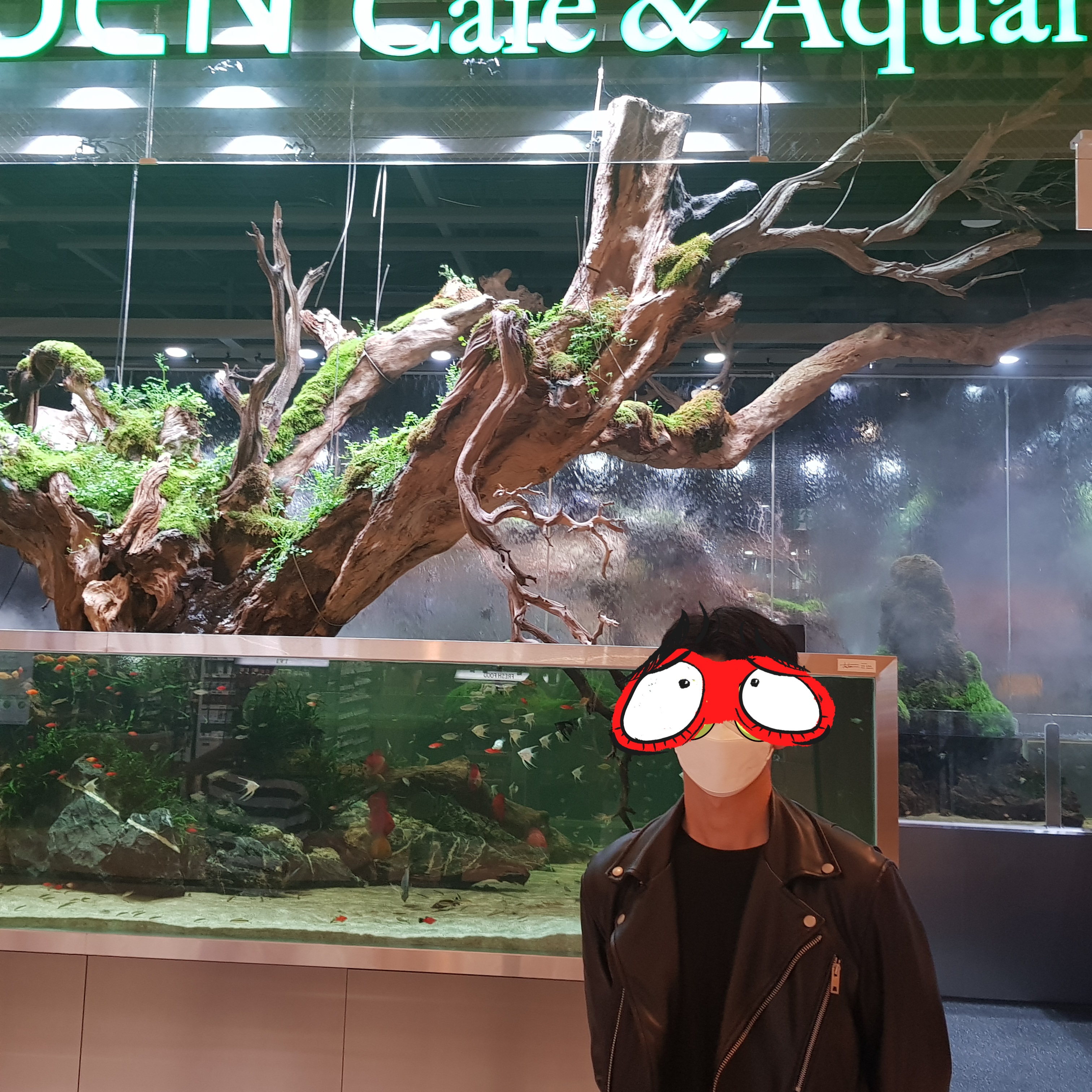  롯데월드타워 방문시 사진들....