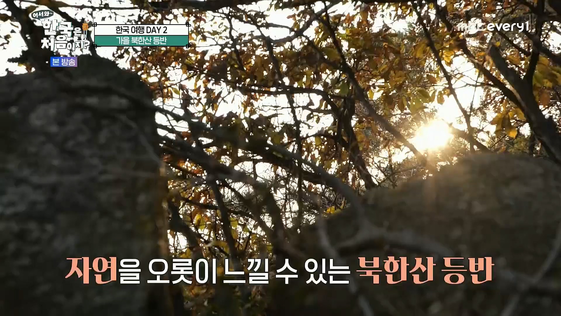 어서와~ 한국은 처음이지.E273.221208p.H264-F1RST.mp4_20221209_200226.162.jpg