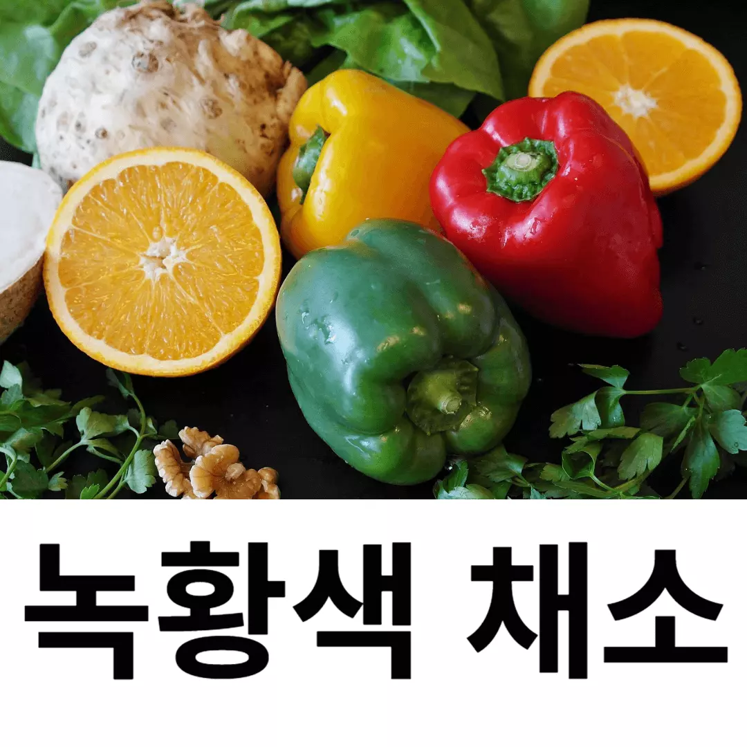 녹황색 채소