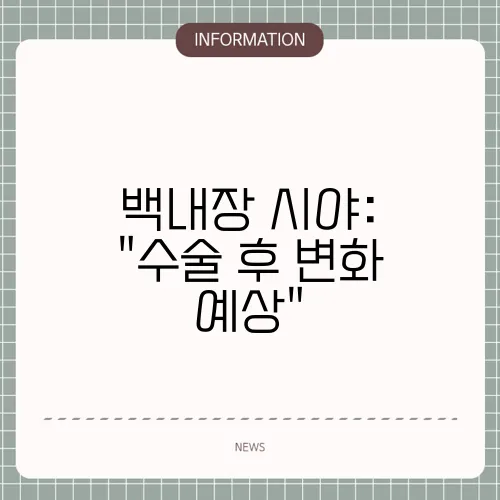 백내장 시야: 
