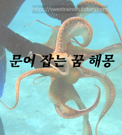 문어잡는-사진