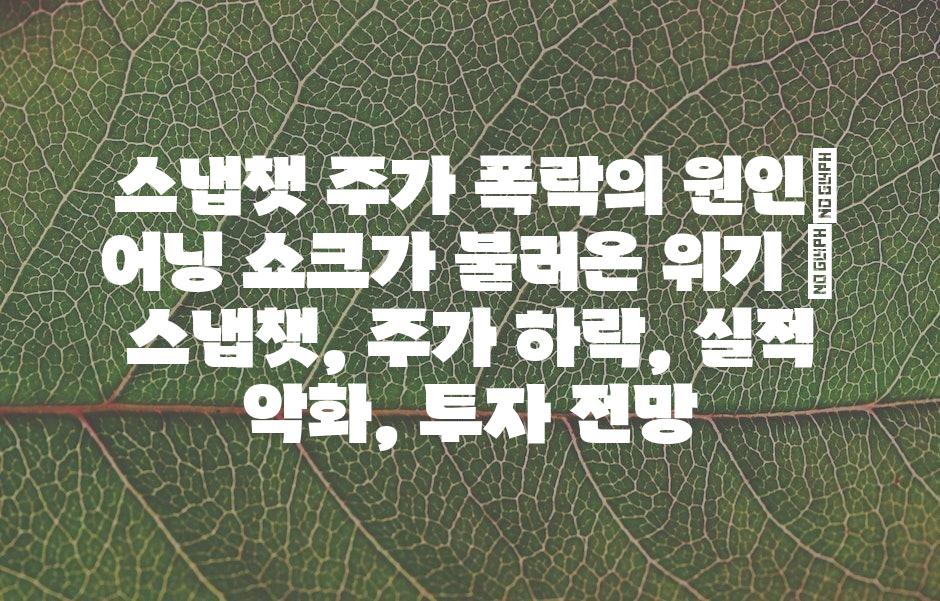 샘플 (43)