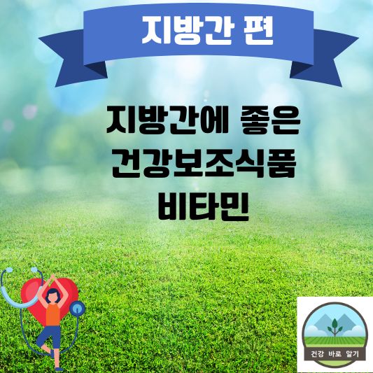  지방간에 좋은 건강보조식품과 비타민