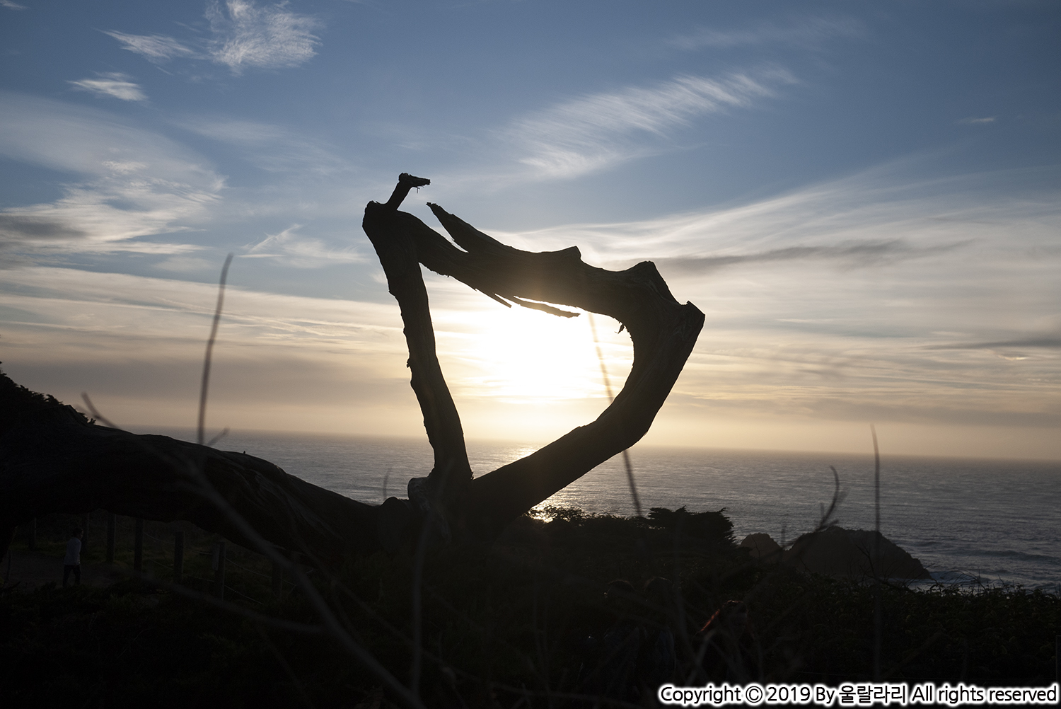 샌프란시스코 땅끝 마을 랜즈 엔드 LANDS END TRAIL