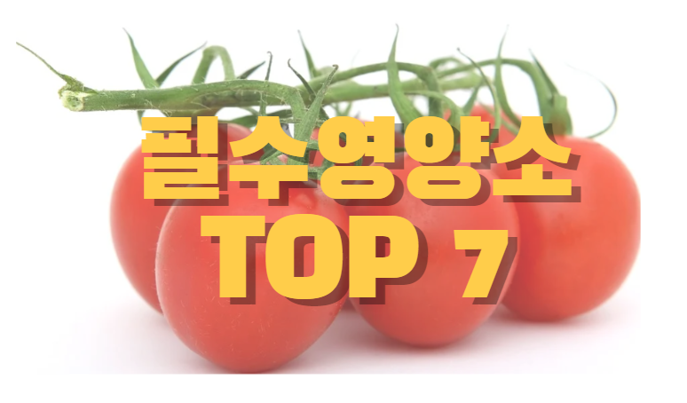 몸에 좋은 필수영양소 TOP 7