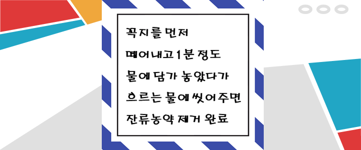  항산화 폭탄 딸기 영양 성분과 세척 방법