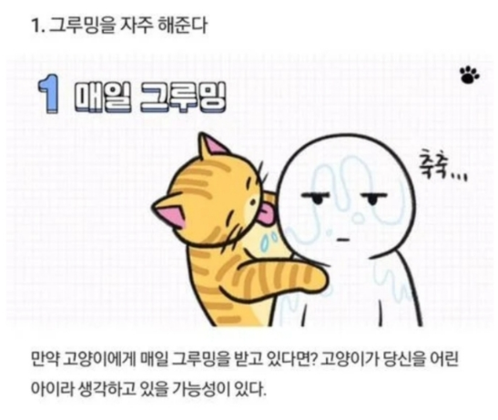  고양이가 당신을 아기로 여긴다?