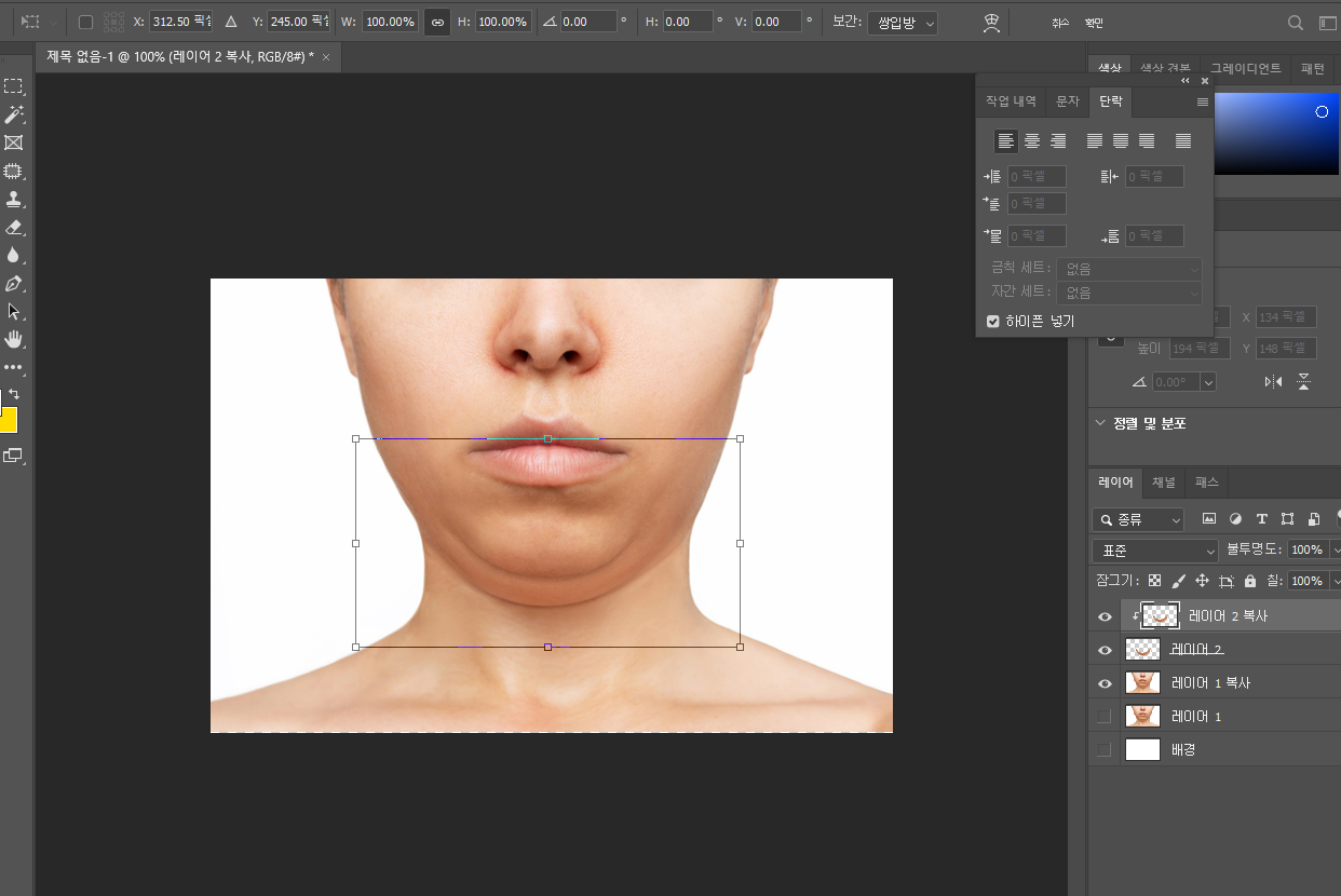포토샵으로 이중턱 없애기 08