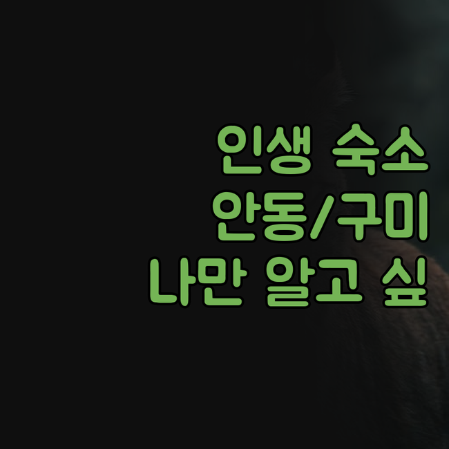 인생 숙소 여기서 찾았다! 안동/구미