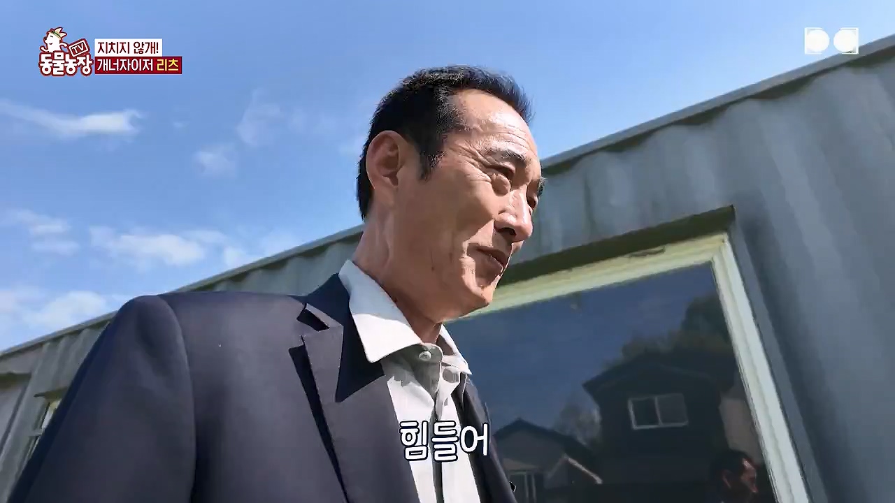 TV 동물농장.E1174.240603p-NEXT.mp4_20240602_155737.558.jpg