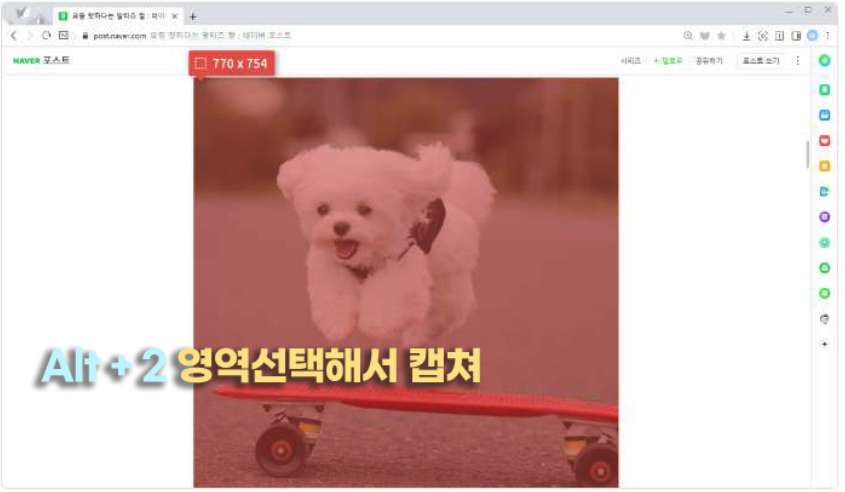 컴퓨터 화면 스크롤 캡쳐 단축키