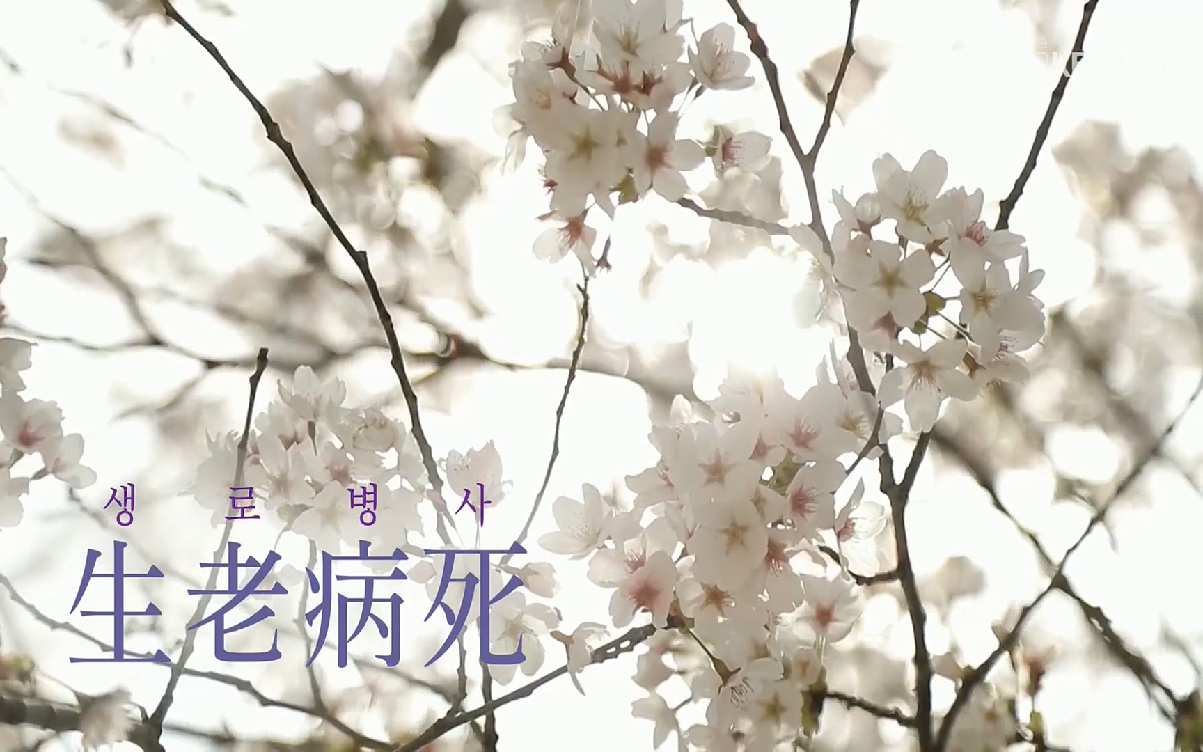생로병사의 비밀.E820.220511p.H264-F1RST.mp4_20220512_185914.584.jpg