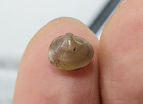 홍가네식당 이미지