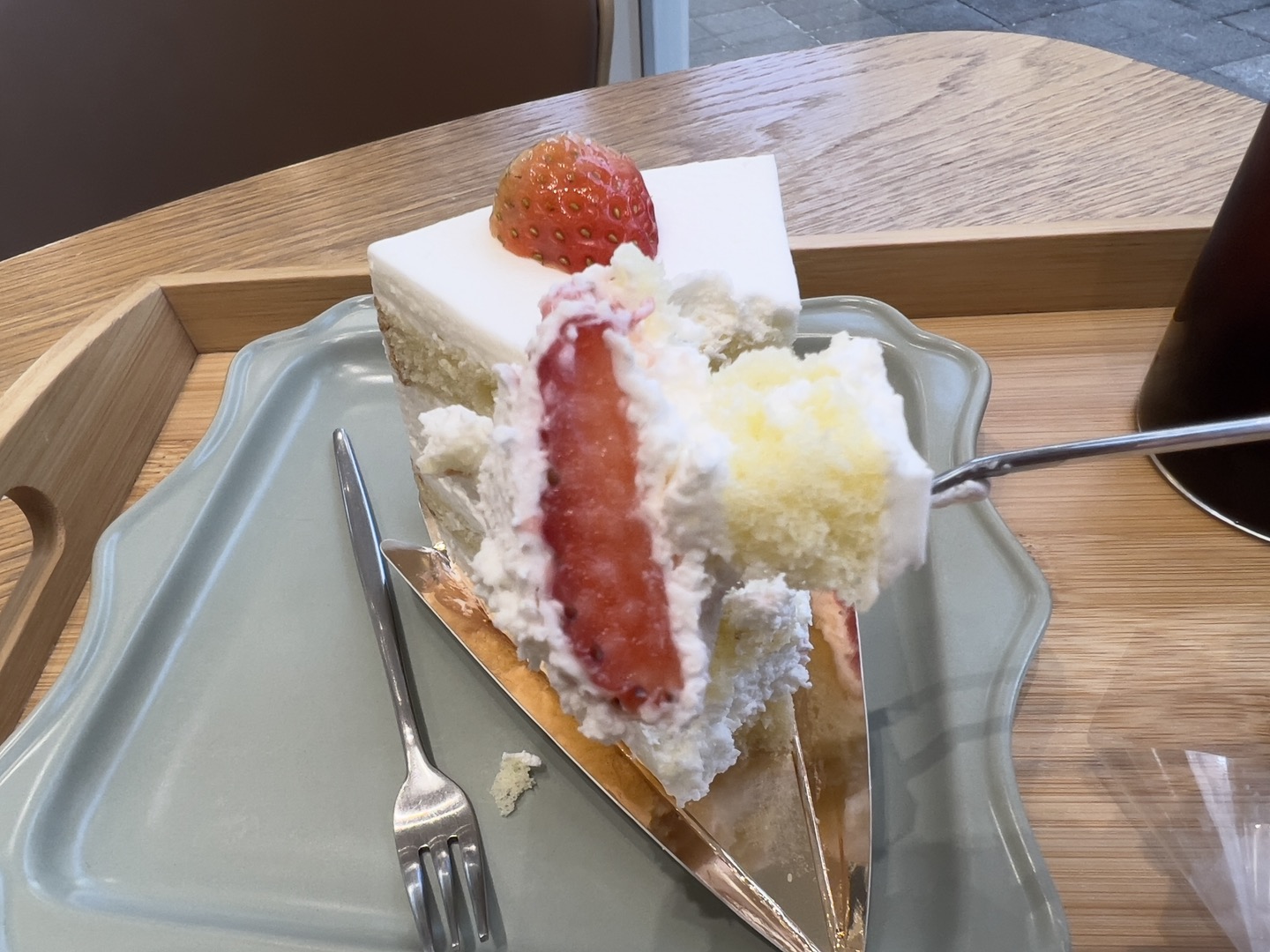 미미존 이미지