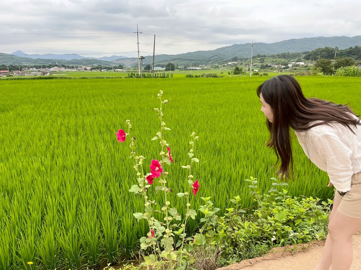 경북 숙소 죽림주간