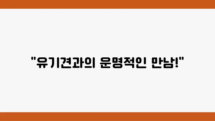 많은 선택지에서의 유기견 입양센터