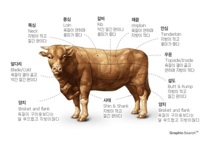  소 등심 안심 채끝 특징과 소고기 3대 스테이크 부위 차이점