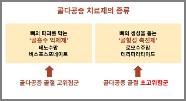 골다공증 치료제