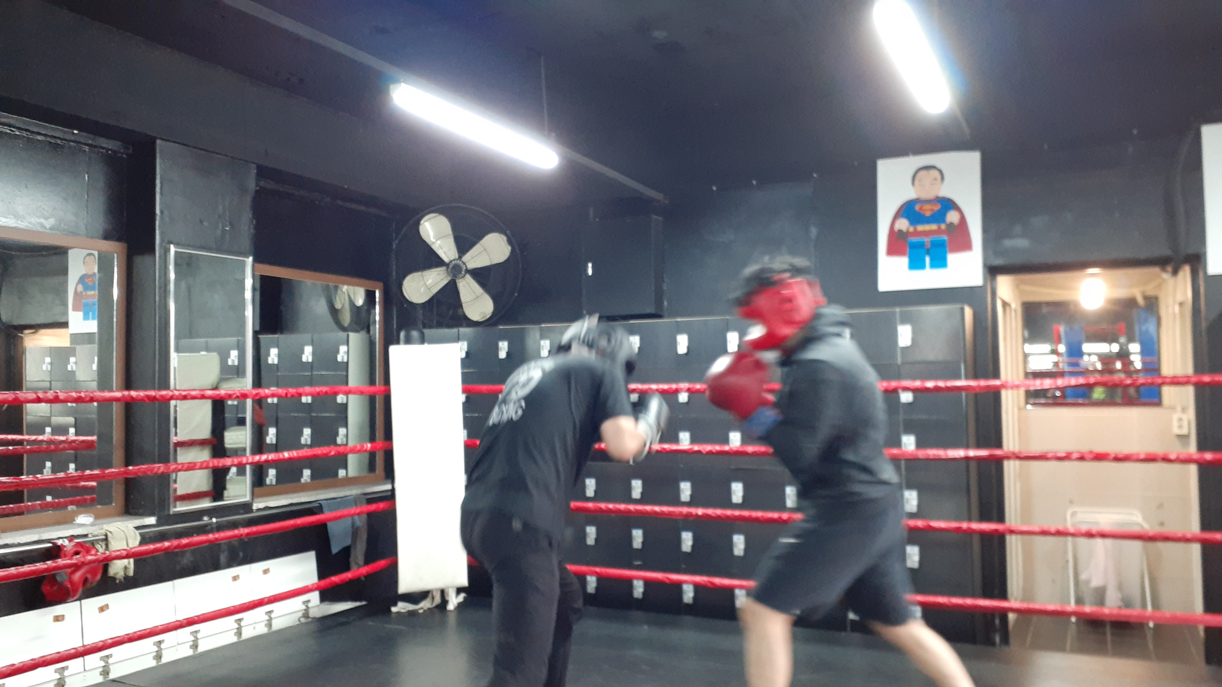 27. 3. 23. 양천구 복싱 대한복싱체육관 신정동 복싱 목동 복싱 신월동 복싱 경찰 무도 자격증 97