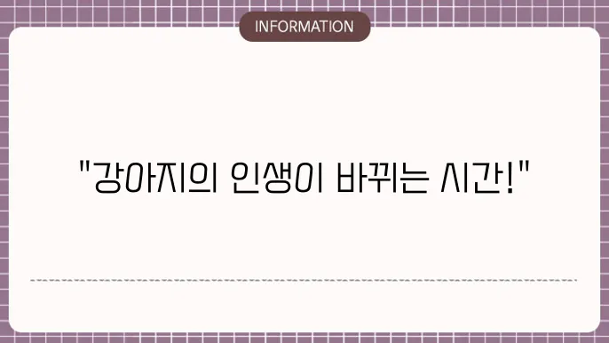 강아지 중성화수술 시간