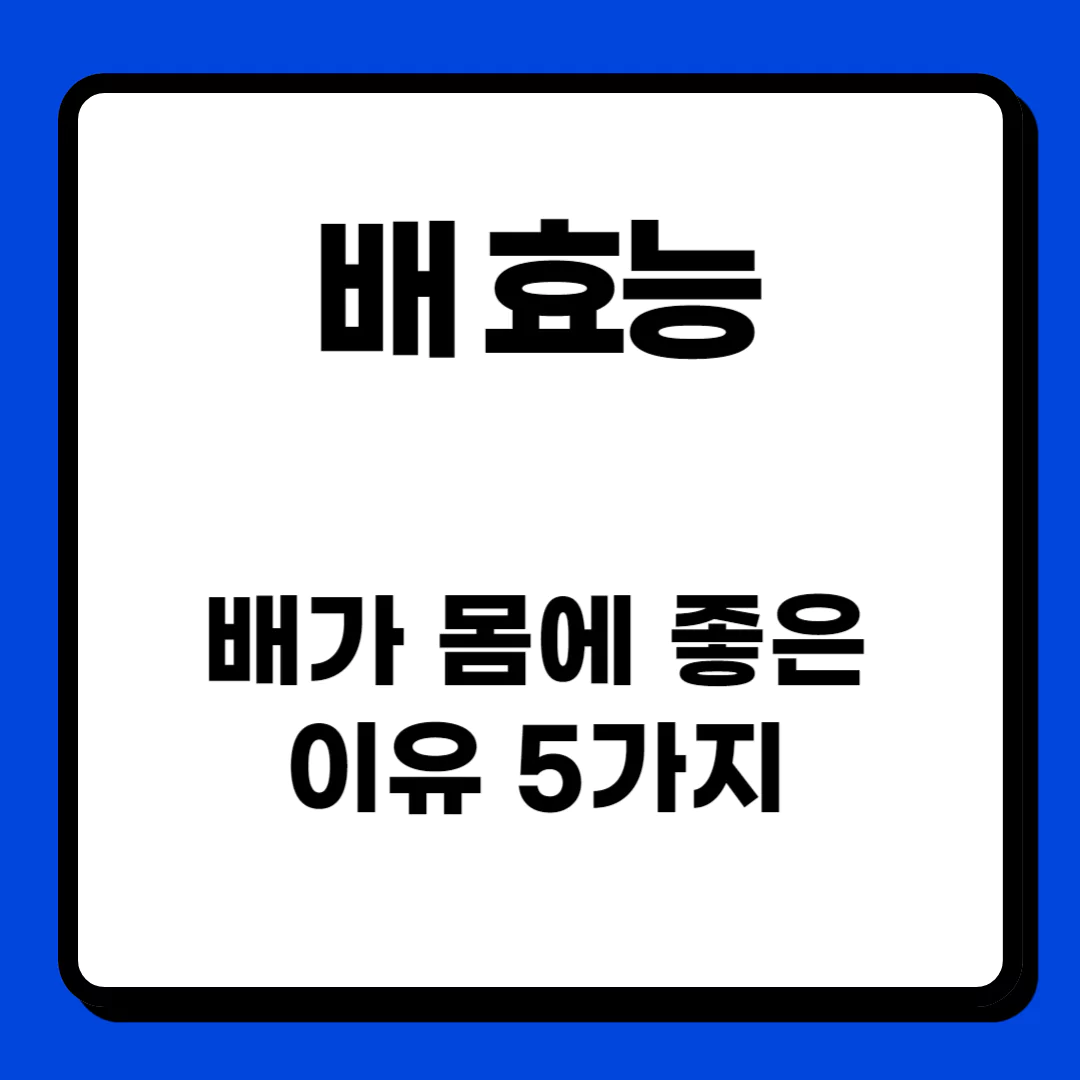 배-썸네일