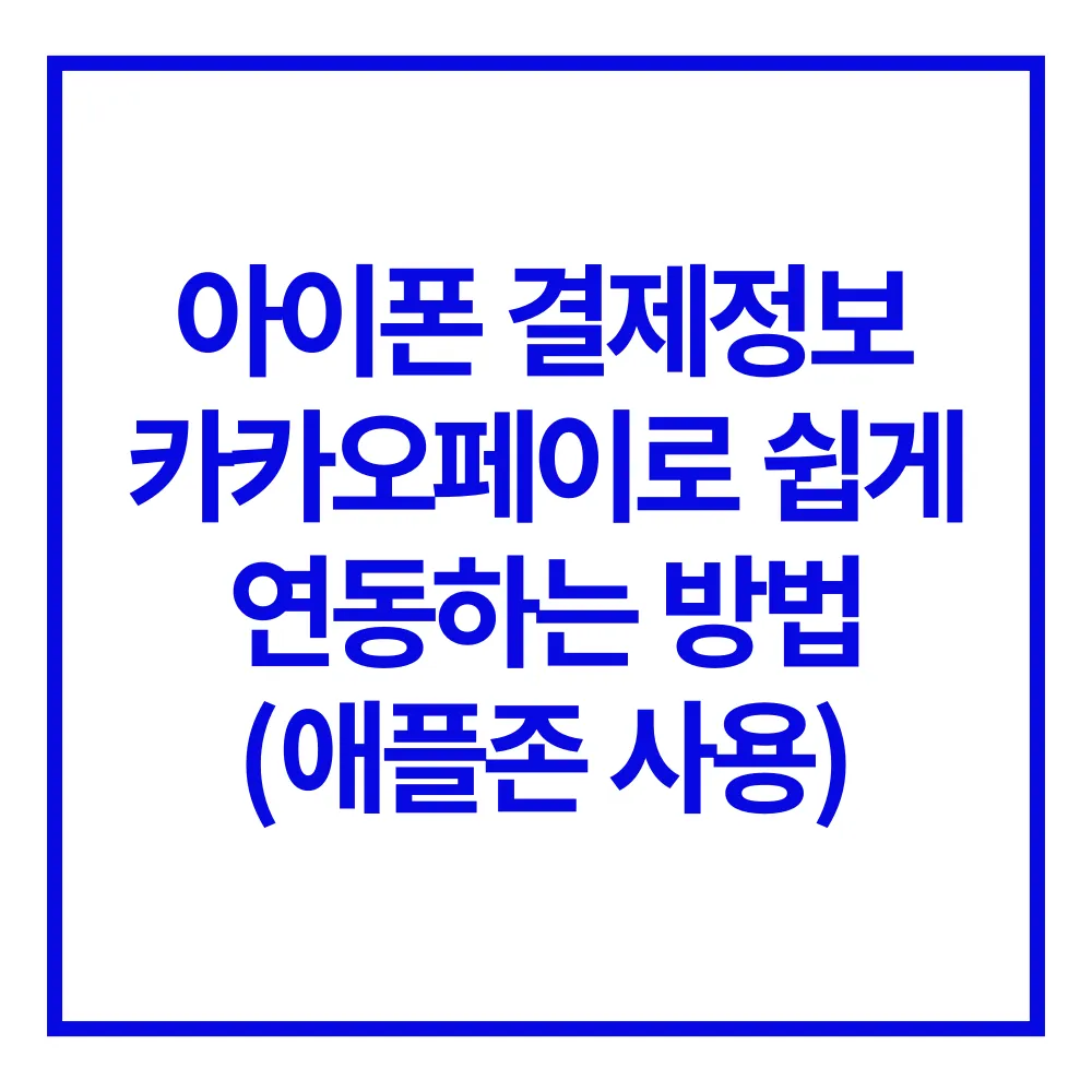 아이폰 결제정보 카카오페이 애플존