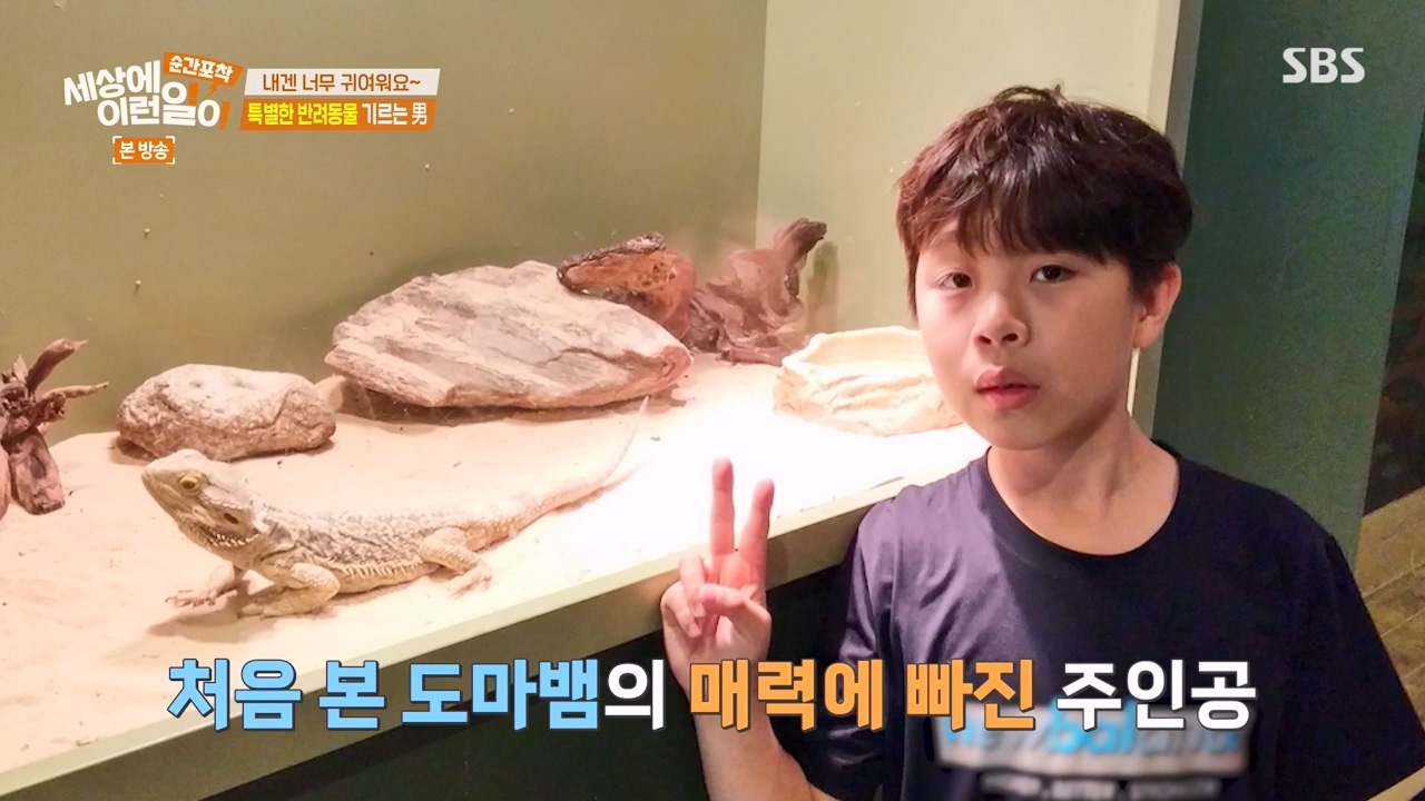 순간포착 세상에 이런일이.E1269.240317p-NEXT.mp4_20240317_163614.360.jpg