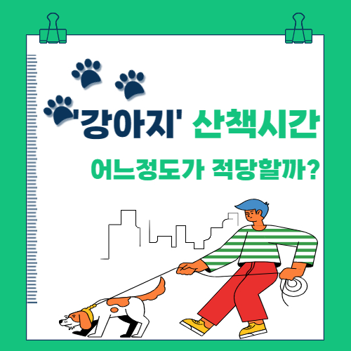  강아지 산책 시간은 어느 정도가 적당할까?