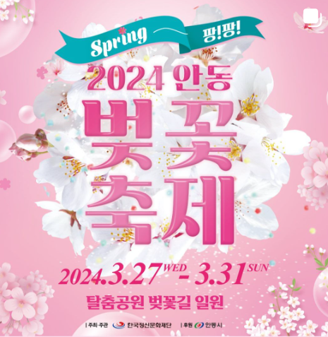 2024 경주 벚꽃 개화시기