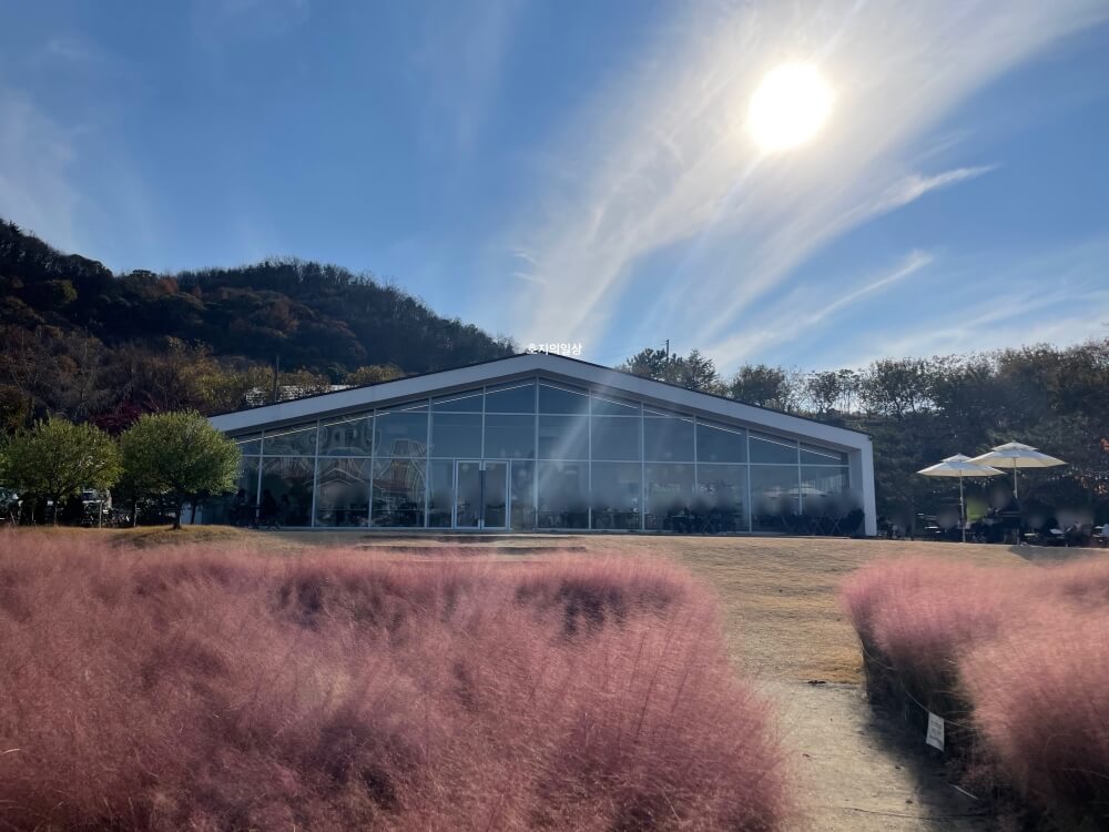 천안 성거 핑크 뮬리 뷰맛집 카페 이숲 - 매장 전경