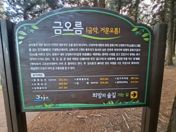 정물 당오름, 오름 그리고 금악오름 11