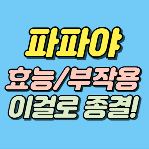 파파야 효능 부작용